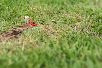 miniature people use lawn mower  cut the grass at greensward