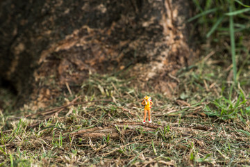miniature traveler under thebig tree
