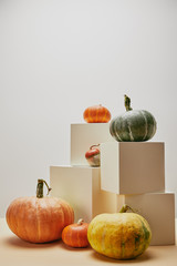 autumnal decoration with orange, yellow and green pumpkins on cubes and table
