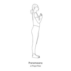 Pranamasana or Prayer Pose. Vector.