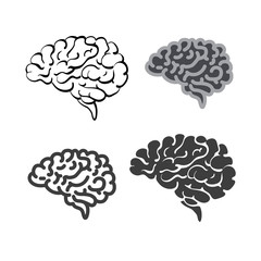 Vector set of brains on white background. Sketch