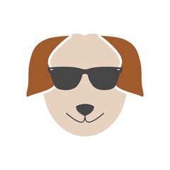 Dog with sunglasses