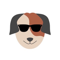 Dog with sunglasses