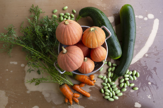 Close-up of freshly harvested organic pumpkins, zucchinis, carrots and pickles on a table with flaking paint.