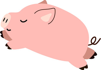 Pig illustration