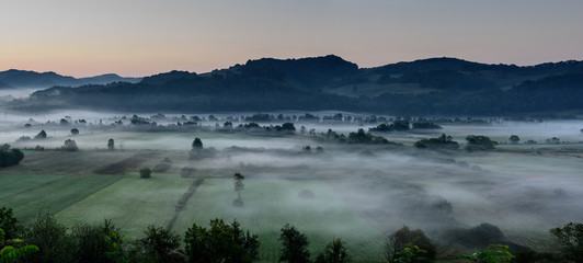 Obraz na płótnie Canvas Agricultural Field. Foggy morning over rural countryside landsacpe.