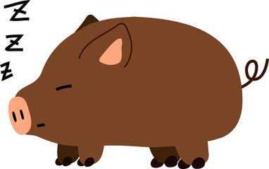 Pig illustration