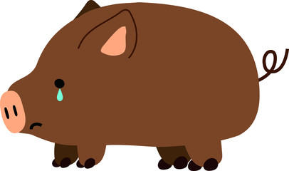 Pig illustration