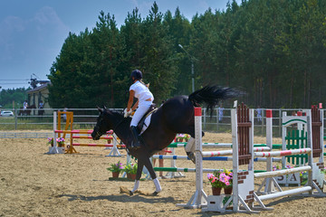 A young woman jockey on a horse performs a jump across the barrier. Competitions in equestrian sport.