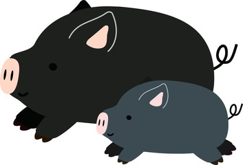 Pig illustration