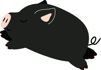 Pig illustration