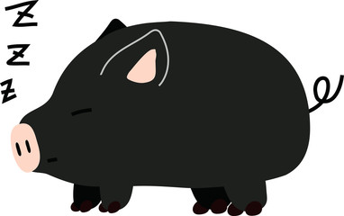 Pig illustration