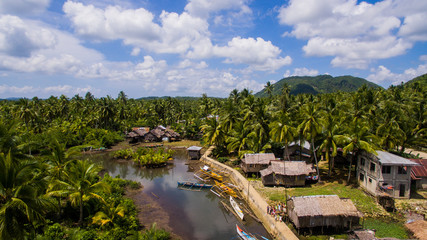 water village mangroves palm trees serpentines jungle siargao philippines