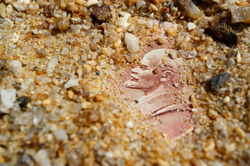 Lenin buried in the sand past time of the USSR, a bill with Lenin in the dustbin
