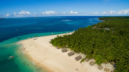 dako island pacific ocean palm trees sandy beach canoes surf