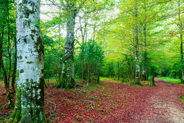 Ordesa and Monte Perdido national park
