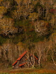 晩秋の栂池高原
