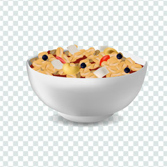 Vector realism style illustration muesli in bowl