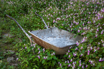 an old garden wheelbarrow among flowers 