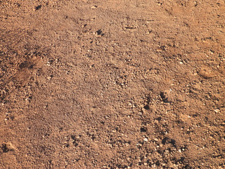 Brown sand as background.