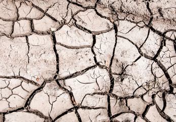 abstract background with cracked dry earth