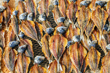 sardinas secadas al sol