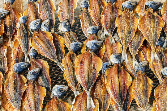 sardinas secadas al sol