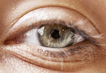 eye macro