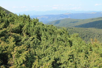 Гірське розмаїття