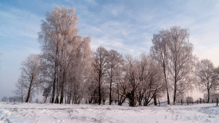 Zima na Podlasiu, Polska