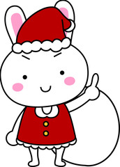 Rabbit's Santa Claus emotional expression