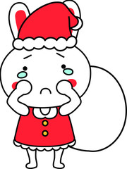 Rabbit's Santa Claus emotional expression