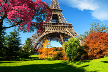 Trees in park of Paris in autumn - obrazy, fototapety, plakaty