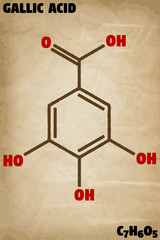 Detailed infographic illustration of the molecule of Gallic acid.