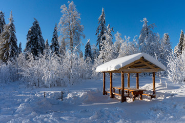 wooden gazebo in the forest in winter sunny day