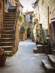 Fototapeta na wymiar Medieval narrow street, along which the stone walls, everywhere pots of flowers and other plants