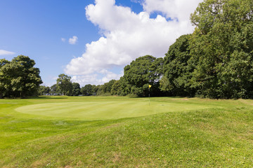 Beautiful golf fields with green grass