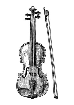 Vintage illustration of Viola