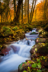 Fototapeta na wymiar Forest waterfall in forest of Nature park Papuk, Croatia