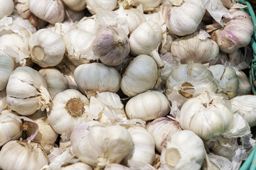 Freshly picked garlic in azure basket on market.