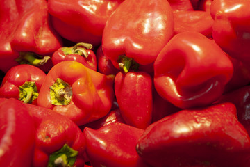 Heap of fresh ripe red pepper with branches.