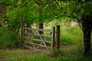 Wooden Fence with meadowland in the background, Natural Woodland