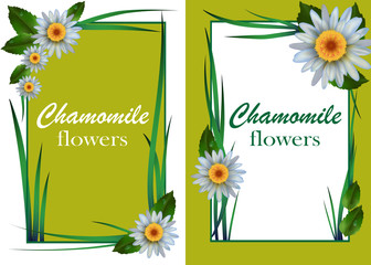 set of cards with tender daisies on a green background