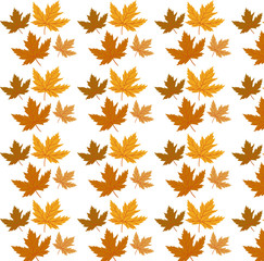 Maple leaves pattern background. Beautiful autumn vector pattern - idea for an autumn postcard