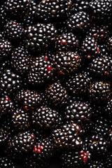 blackberry background