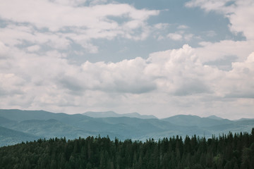 cloudly summer landscape of Carpathian mountains, pine forest and sky. Ukraine