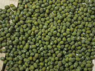 Mung Beans also known as Green Moong, Kacang Hijau, Vigna Radiata