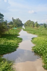 Green River of Cambodia