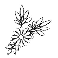 flower and leafs decorative icon