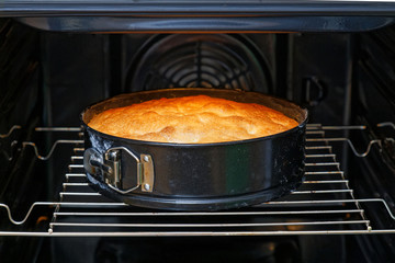 Homemade pie with apples is cooked in the oven